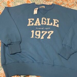 Brand new thick American eagle outfitters crew sweatshirt oversized runs very Lg